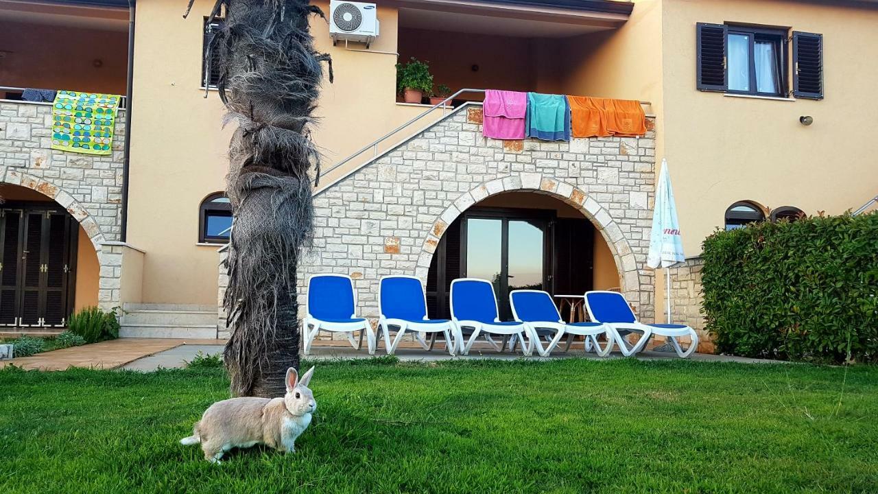 Marina Case de vacanță
